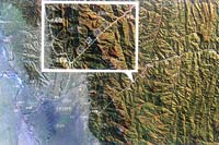 �l(w��i)���Ĕz���؎X����λ�ÈD