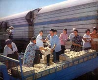 ����������\(y��n)