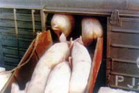 ���i���\(y��n)